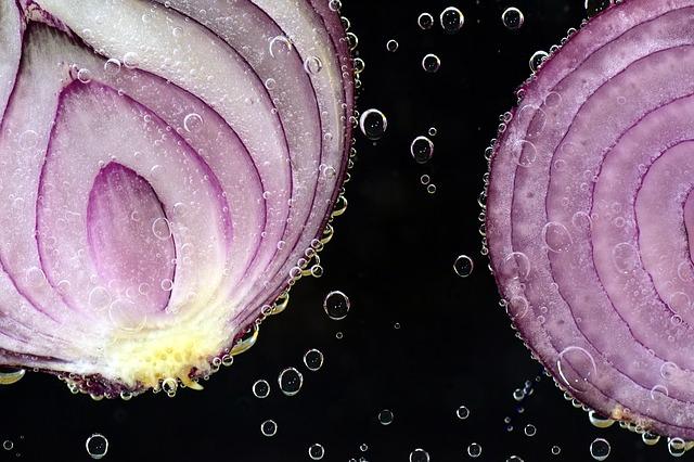 File:Onionrepository23234.jpg